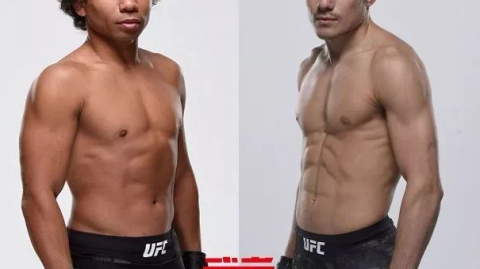 UFC格斗之夜167雏量级巅峰对决：多德森与伍德引爆里奥兰珠
